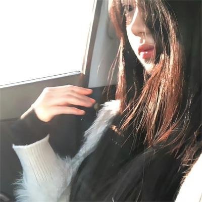 哈莉·奎茵第二季